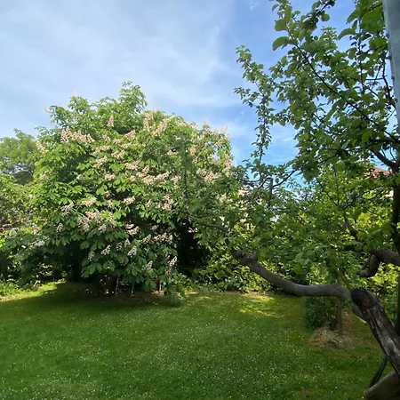 +authentic+ * Mariánské Lázně