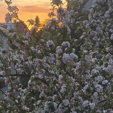 +authentic+ Apartment